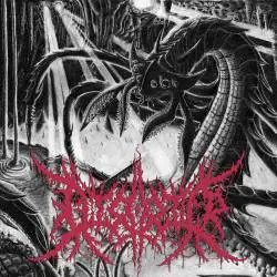 Disorder (USA) : Efficiency Against Impossible Odds